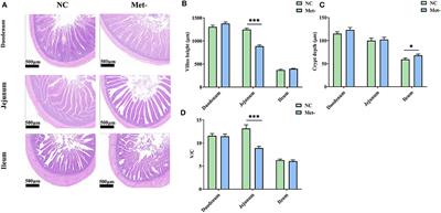 Effect of Methionine Deficiency on the Growth Performance, Serum Amino Acids Concentrations, Gut Microbiota and Subsequent Laying Performance of Layer Chicks